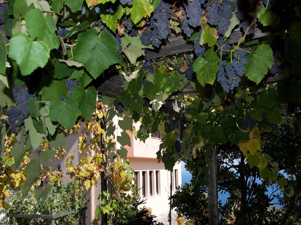 Villa Aglaini Agios Dimitrios  Exterior photo